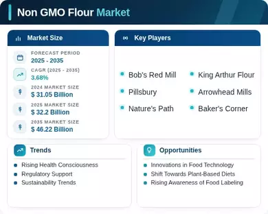 Non GMO Flour Market Infographic