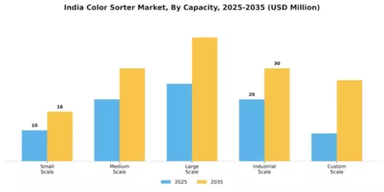 India Color Sorter Market Segment Image 1