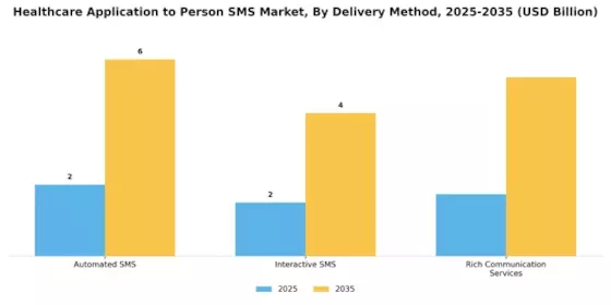 Healthcare Application to Person SMS Market Segment Image 2