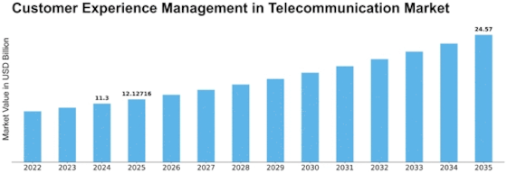 Customer Experience Management in Telecommunication Market Size