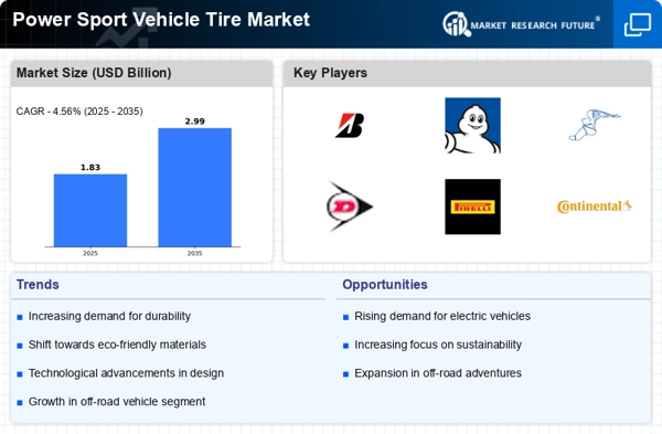 Power Sport Vehicle Tire Market Infographic