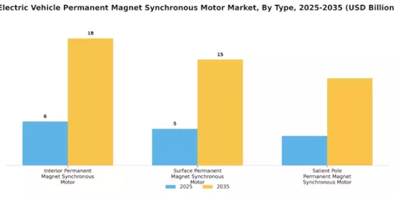 Electric Vehicle Permanent Magnet Synchronous Motor Market Segment Image 0