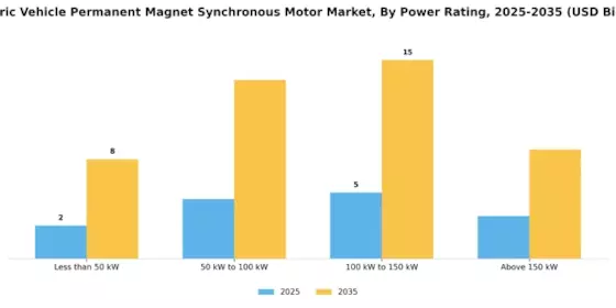 Electric Vehicle Permanent Magnet Synchronous Motor Market Segment Image 3