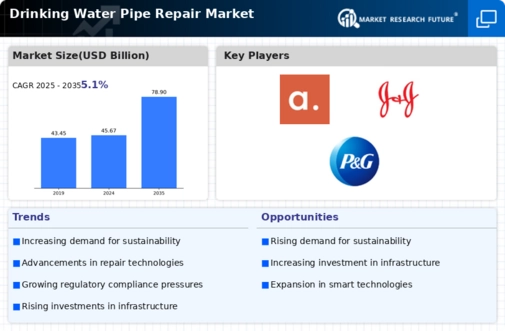 Drinking Water Pipe Repair Market Infographic