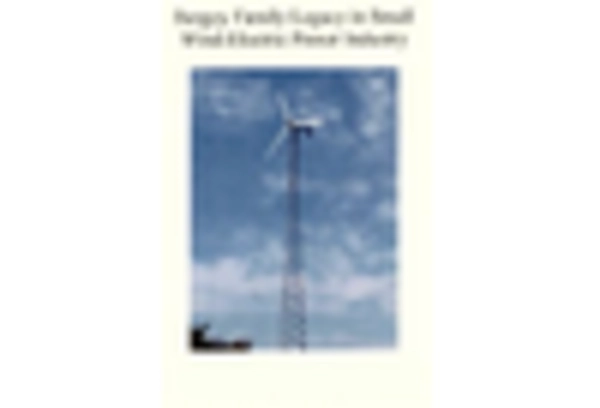 Small Scale Single And Multirotor Wind Turbine Market key player