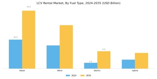 LCV Rental Market Segment Image 3