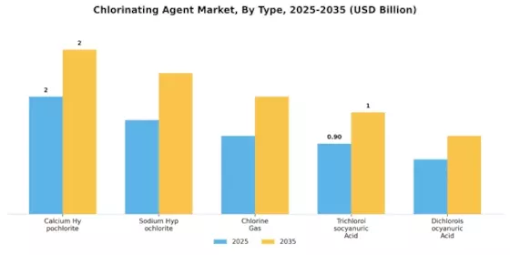 Chlorinating Agent Market Segment Image 1