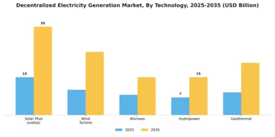 Decentralized Electricity Generation Market Segment Image 2