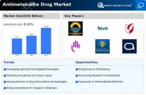 Antimetabolite Drug Market Research Report - Global Forecast by 2034 Infographic