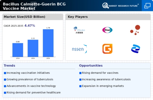 Bacillus Calmette-Guerin BCG Vaccine Market Research Report - Forecast 2034 Infographic