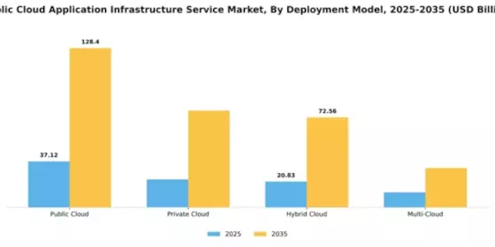 Public Cloud Application Infrastructure Service Market Segment Image 0