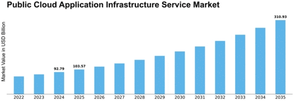 Public Cloud Application Infrastructure Service Market Size