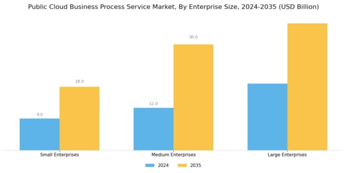 Public Cloud Business Process Service Market Segment Image 2