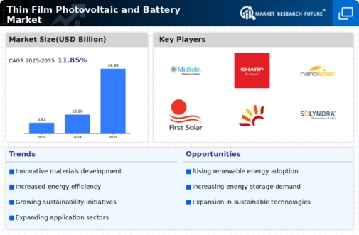Thin Film Photovoltaic Battery Market Infographic