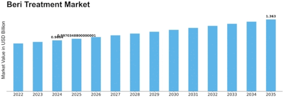 Beri Beri Treatment Market Size