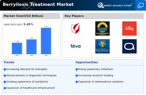 Berryliosis Treatment Market Infographic