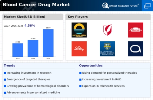Blood Cancer Drug Market Infographic