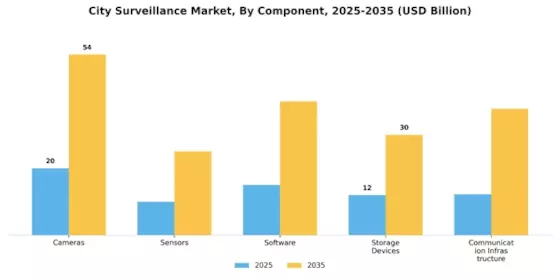 City Surveillance Market Segment Image 1