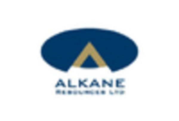 ランタン市場 key player