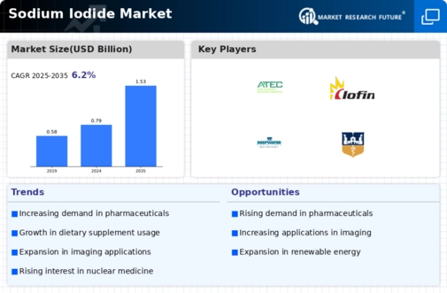 Sodium Iodide Market Infographic