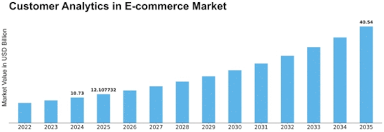 Customer Analytics In E-commerce Market Size
