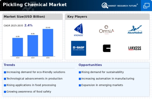 Pickling Chemical Market Infographic