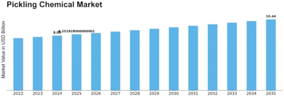 Pickling Chemical Market Size