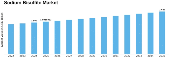 Sodium Bisulfite Market Size
