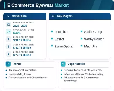 E Commerce Eyewear Market Infographic