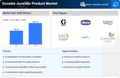 Durable Juvenile Product Market Infographic