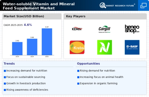 Water soluble Vitamin Mineral Feed Supplement Market Infographic