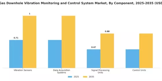 Oil Gas Downhole Vibration Monitoring Control System Market Segment Image 1