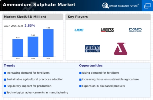 Europe Ammonium Sulphate Market Infographic