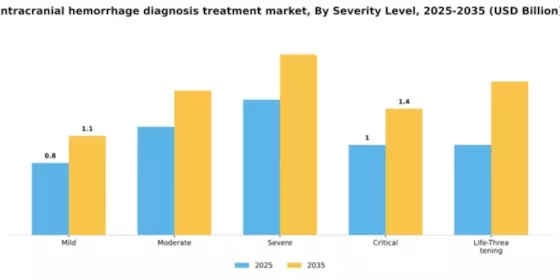 Intracranial Hemorrhage Diagnosis and Treatment Market Segment Image 3
