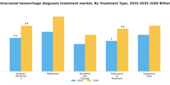 Intracranial Hemorrhage Diagnosis and Treatment Market Segment Image 4