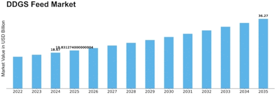 DDGS Feed Market Size