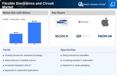 Flexible Electronics and Circuit Market Infographic