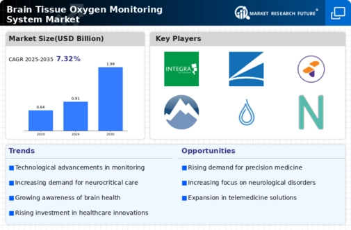Brain Tissue Oxygen Monitoring System Market Research Report — Global Forecast till 2034 Infographic