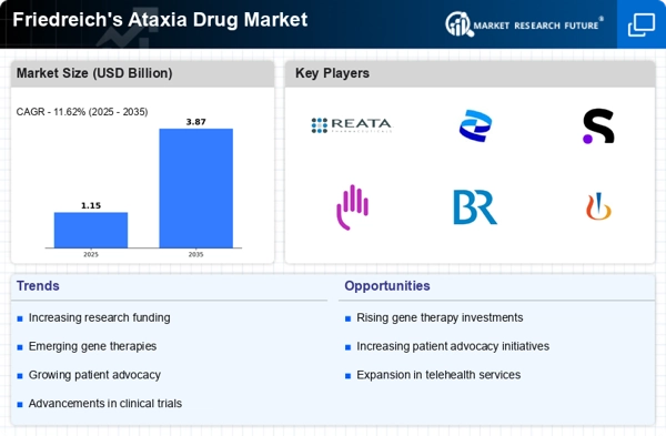 Friedreich's Ataxia Drug Market Infographic