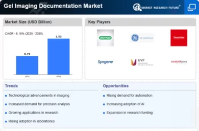 Gel Imaging Documentation Market Infographic