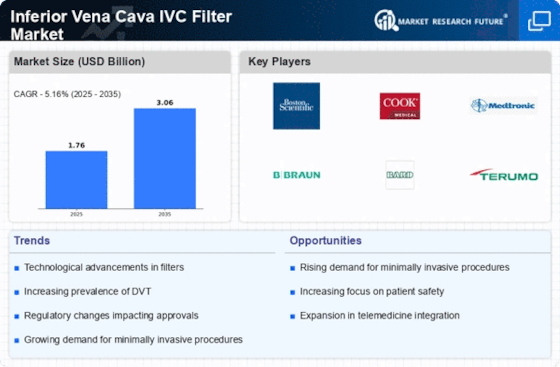 Inferior Vena Cava IVC Filter Market Infographic