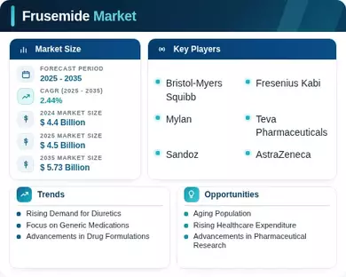Frusemide Market Infographic