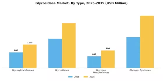 Glycosidase Market Segment Image 3