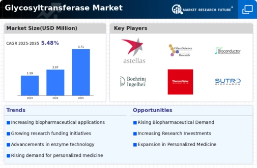 Glycosyltransferase Market Infographic