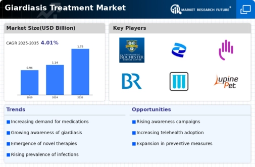 Giardiasis Treatment Market Infographic