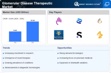 Glomerular Disease Therapeutic Market Infographic