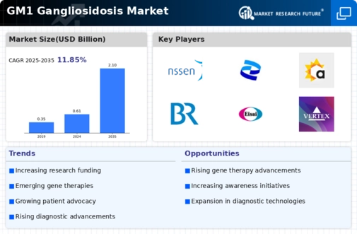 GM1 Gangliosidosis Market Research Report — Global Forecast till 2032 Infographic