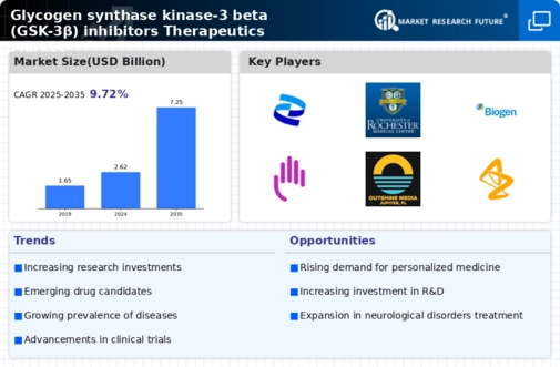 Glycogen synthase kinase-3 beta inhibitors Therapeutics Market Infographic