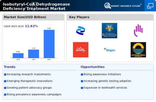 Isobutyryl CoA Dehydrogenase Deficiency Treatment Market Infographic