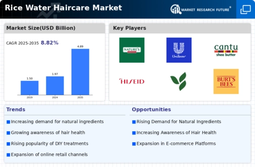 Rice Water Haircare Market Infographic